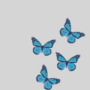 Meet your Posher, Baylee